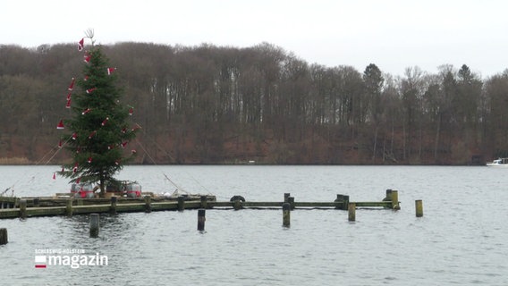 Im Großen Segeberger See wird nach einer Engelsstatue gesucht. © Screenshot 