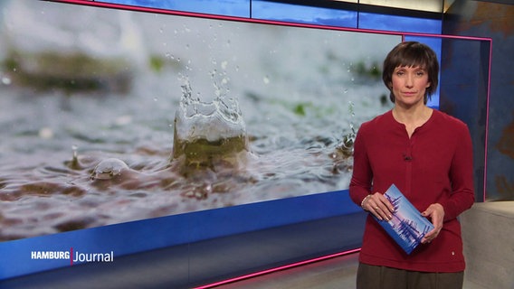 Theresa Pöhls moderiert das Hamburg Journal. © Screenshot 