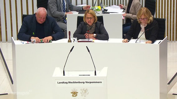 Das präsidium des Landtags Mecklenburg-Vorpommerns. © Screenshot 