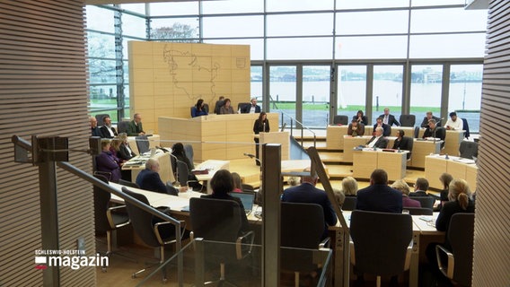 Viele Abgeordnete sitzen im Landtag in Kiel. © Screenshot 