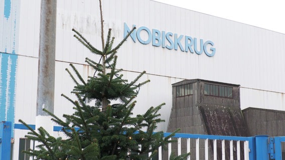 Ein Tannenbaum steht vor dem Gebäude von Nobiskrug. © Screenshot 