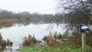 Blick auf den Eimersee. Auf einem soweit naturbelassenen grünen Streifen steckt ein Pfahl im Boden - darauf hängt umgedreht ein handelsüblicher schwarzer Eimer, dem man auch im Baumarkt bekommt. © Screenshot 