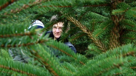 Hinter Weihnachtsbaum-Zweigen erahnt man die Gesichter zweier Menschen. © Screenshot 