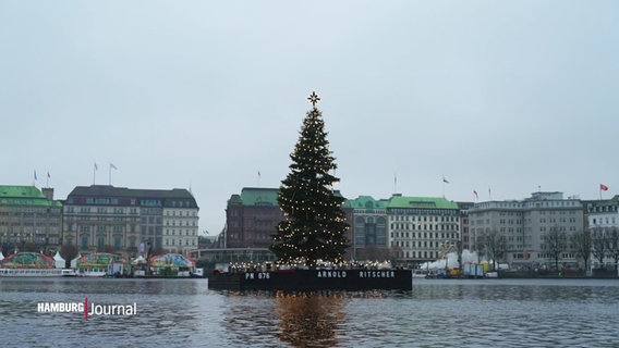 Die Alstertanne steht auf einer Insel in der Alster. © Screenshot 