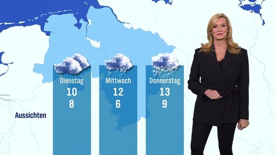 Eine Frau steht vor einer Info-Tafel. © Screenshot 