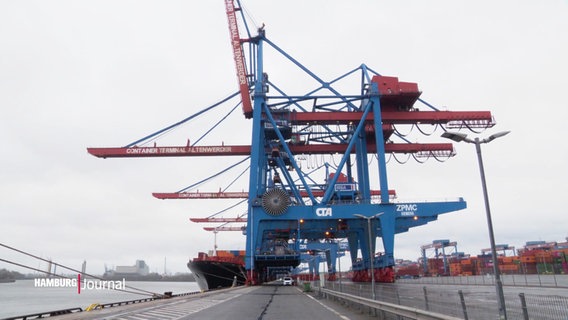 Die neuen Containerbrücken im Hamburger Hafen bei Altenwerder. © Screenshot 