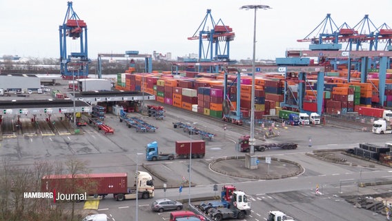 Blick auf LKWs im Containerhafen. © Screenshot 