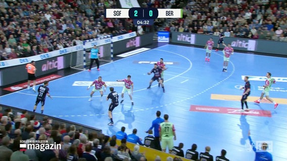 Handball: Spielszene. © Screenshot 