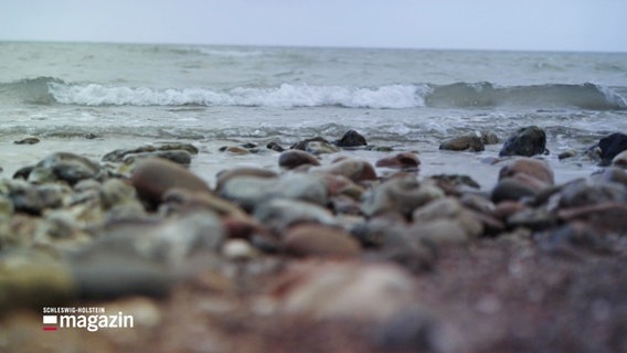 Steinstrand an der Ostsee. © Screenshot 