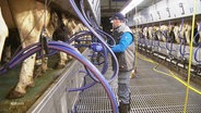 Milchbauer Matthias Steffens in seinem Stall mit Milchkühen. © Screenshot 