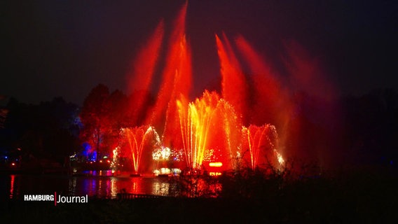 Bunt beleuchtete Wasserspiele im Loki-Schmidt-Garten. © Screenshot 