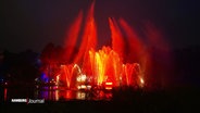 Bunt beleuchtete Wasserspiele im Loki-Schmidt-Garten. © Screenshot 