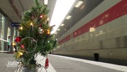 Ein kleiner Weihnachtsbaum steht auf einem Bahnsteig neben dem ein ICE abfährt. © Screenshot 