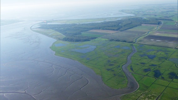 Die Westküste Schleswig-Holsteins von oben. © Screenshot 