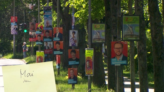 Eine vielzahl von Wahlplakaten hängen an Bäumen an einer Straße. © Screenshot 