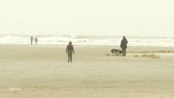 Sturm am Strand von St. Peter-Ording. © Screenshot 