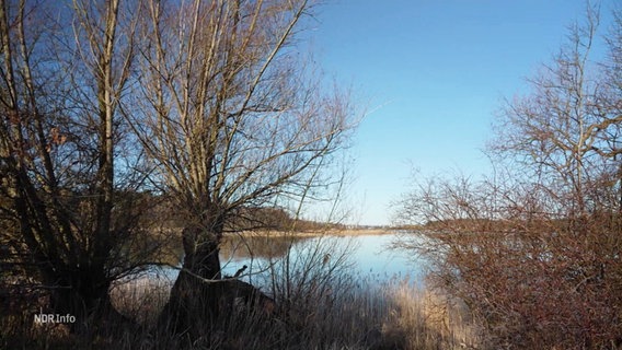 Der Müritz-Nationalpark. © Screenshot 