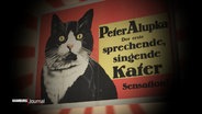 Ein Plakat mit dem Kater "Peter Alupka". © Screenshot 