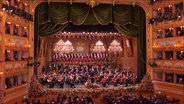 Ein Orchester auf der Bühne des Teatro La Fenice. © Screenshot 