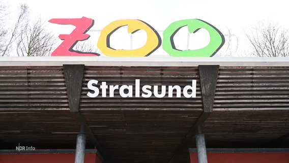 Der Eingang des Stralsunder Zoos . © Screenshot 