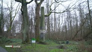 In einem Waldstück steht ein steinerner Obelisk. © Screenshot 