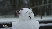 Ein kleiner Schneemann. © Screenshot 