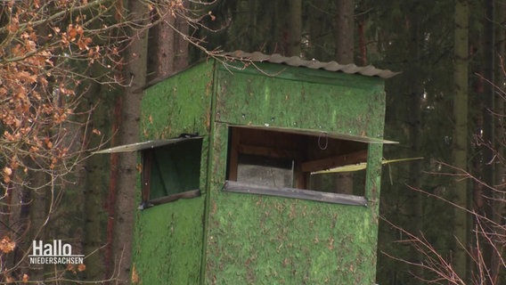 Ein grün gestrichener Hochsitz am Waldrand. © Screenshot 