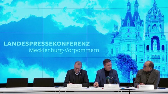 Die Landespressekonferenz gibt einen Ausblick auf das Jahr 2025. © Screenshot 