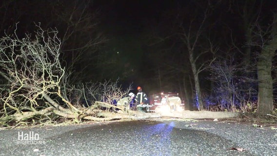 Die feuerwehr entfernt einen Baum von der Fahrbahn. © Screenshot 