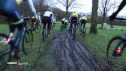 Cyclocross-Fahrer:innen im Hamburger Volkspark. © Screenshot 