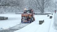 Im Schneetreiben fährt ein Räumfahrzeug vom Winterdienst. © Screenshot 