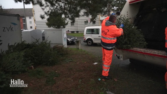 Ein Abfallwerker steckt einen Tannenbaum in die Ladeluke des Müllwagens. © Screenshot 