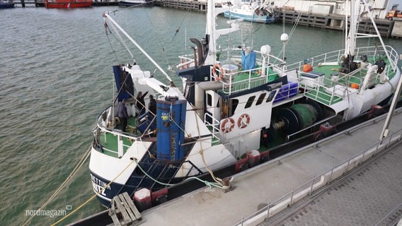 Ein Fischkutter im Hafen. © Screenshot 