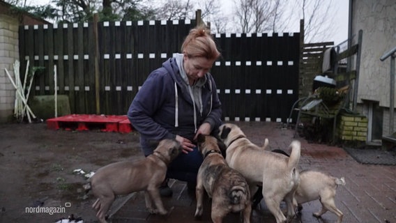 Susanne Javobs vom Verein "Eine zweite Chance für Hunde" kümmert sich um mehrere Hunde verschiedener Rassen. © Screenshot 