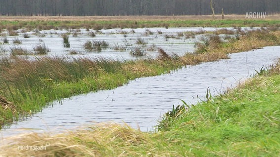 Ein kleiner Fluss fließt durch ein überspültes Gebiet (Archivbild). © Screenshot 