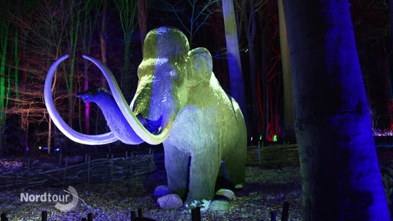 Ein Mamut wird vom Lichtzauber im Zoo Rostock beleuchtet. © Screenshot 