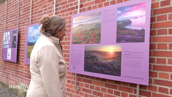 Eine Frau guckt sich die Ausstellung der prämierten Garten- und Naturfotos an. © Screenshot 