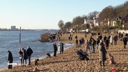 Spaziergänger bei Sonnenschein am Elbstrand. © Screenshot 