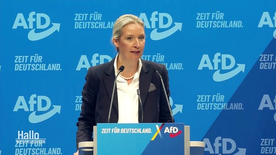 Alice Weidel © Screenshot 