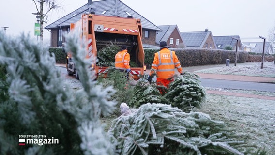 Zwei Männer laden Weihnachtsbäume auf ein Müllfahrzeug. © Screenshot 