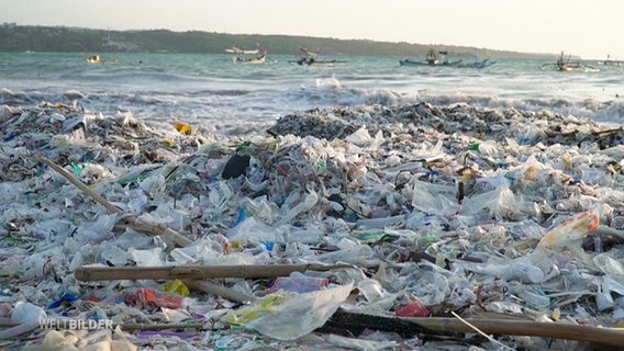 Plastikmüll liegt an einem Strand. © Screenshot 