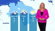 Eine Meteorologin steht vor einer Wettergrafik. © Screenshot 