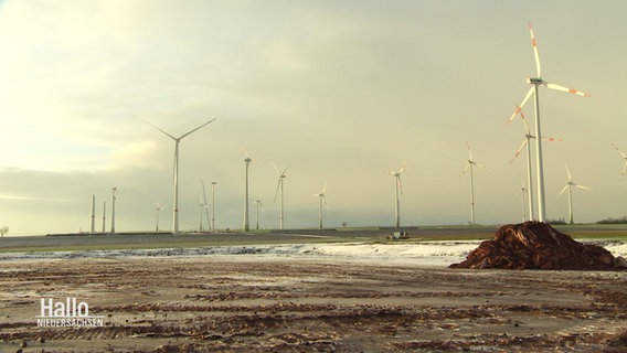 In einer flachen, ländlichen Gegend stehen viele Windkrafträder. © Screenshot 