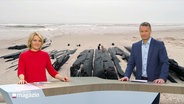 Marie-Luise Bram und Gerrit Derkowski moderieren das Schleswig-Holstein Magazin um 19:30 Uhr. © Screenshot 