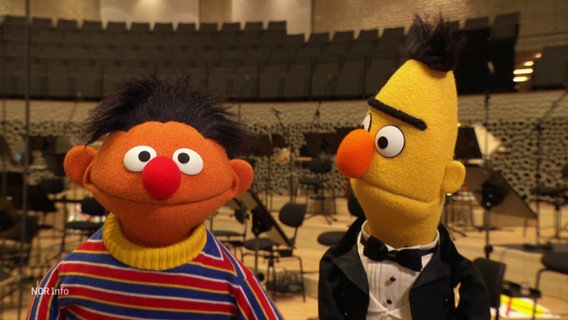 Ernie und Bert in der Elbphilharmonie. © Screenshot 