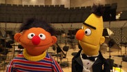 Ernie und Bert in der Elbphilharmonie. © Screenshot 