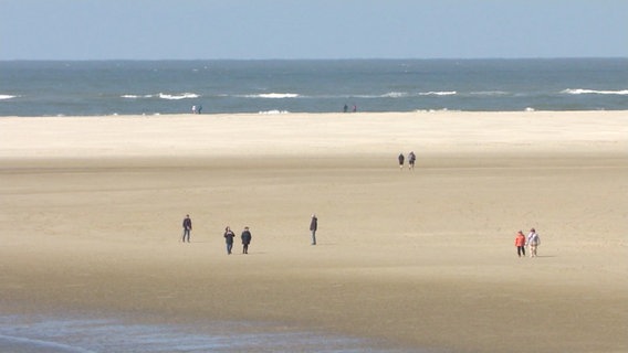 Menschen spazieren durch das Wattenmeer. © Screenshot 