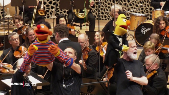 Ernie und Bert und das NDR Elbphilharmonie Orchester. © Screenshot 