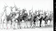 Historisches Schwarz-Weiß-Foto: Mehrere Menschen mit Gewehren sitzen auf Dromedaren. © Screenshot 