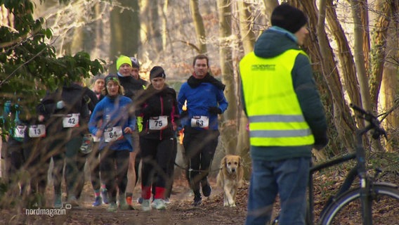 Läuferinnen und Läufer laufen bei einem Spendenlauf durch einen Wald. © Screenshot 